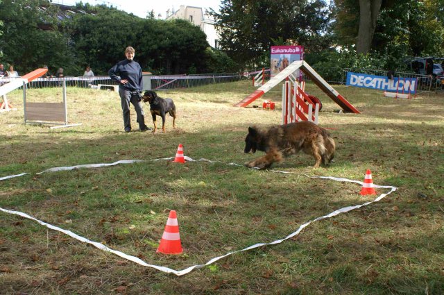 foire-haricots 2011-09-17et18